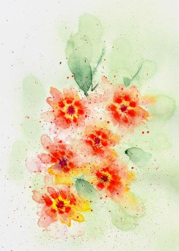 Pink and orange blooms